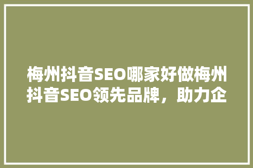 梅州抖音SEO哪家好做梅州抖音SEO领先品牌，助力企业乘风破浪