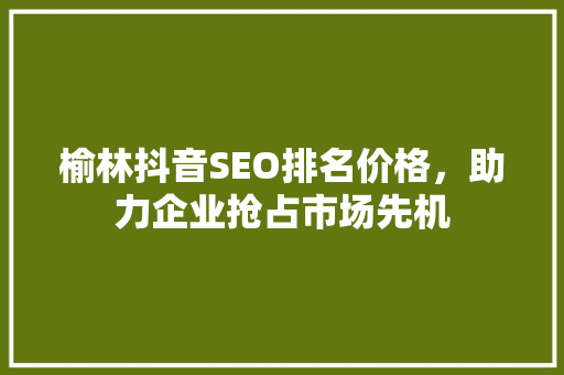 榆林抖音SEO排名价格，助力企业抢占市场先机