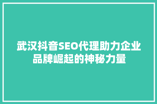 武汉抖音SEO代理助力企业品牌崛起的神秘力量