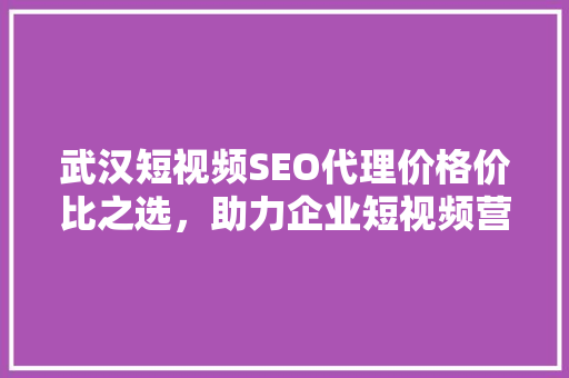 武汉短视频SEO代理价格价比之选，助力企业短视频营销腾飞