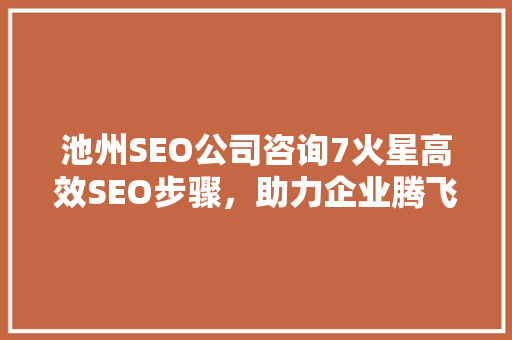 池州SEO公司咨询7火星高效SEO步骤，助力企业腾飞