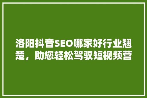 洛阳抖音SEO哪家好行业翘楚，助您轻松驾驭短视频营销