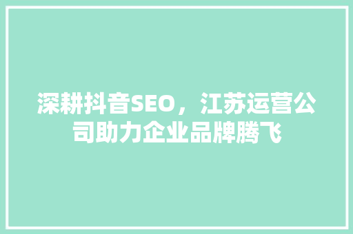 深耕抖音SEO，江苏运营公司助力企业品牌腾飞
