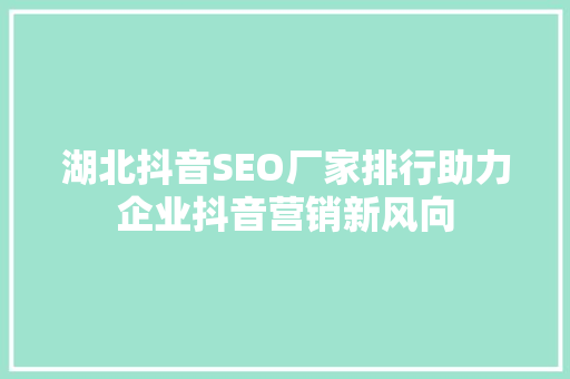 湖北抖音SEO厂家排行助力企业抖音营销新风向