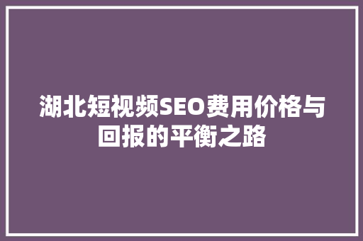 湖北短视频SEO费用价格与回报的平衡之路