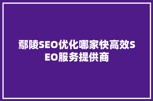鄢陵SEO优化哪家快高效SEO服务提供商