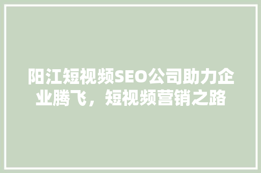 阳江短视频SEO公司助力企业腾飞，短视频营销之路