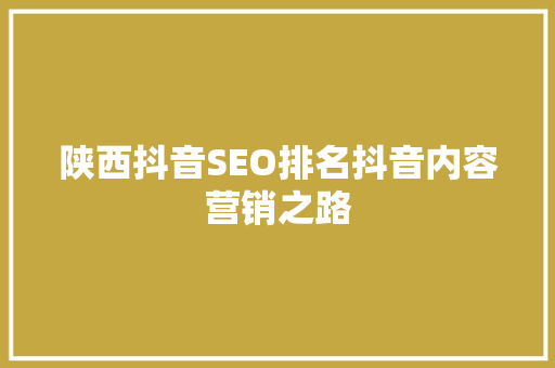 陕西抖音SEO排名抖音内容营销之路
