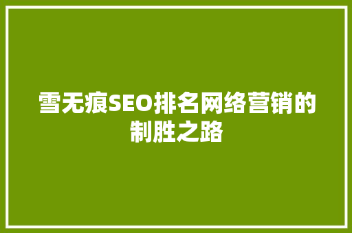 雪无痕SEO排名网络营销的制胜之路