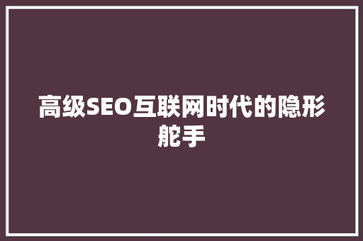 高级SEO互联网时代的隐形舵手