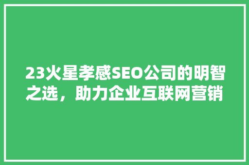 23火星孝感SEO公司的明智之选,助力企业互联网营销新篇章 23火星孝感SEO公司的明智之选,助力企业互联网营销新篇章
