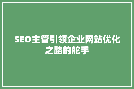 SEO主管引领企业网站优化之路的舵手