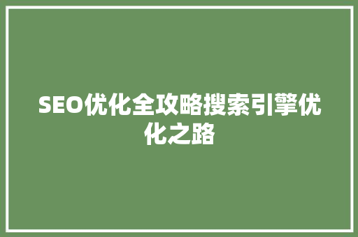 SEO优化全攻略搜索引擎优化之路