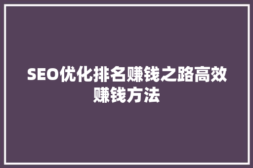 SEO优化排名赚钱之路高效赚钱方法 SEO优化排名赚钱之路高效赚钱方法