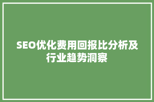 SEO优化费用回报比分析及行业趋势洞察