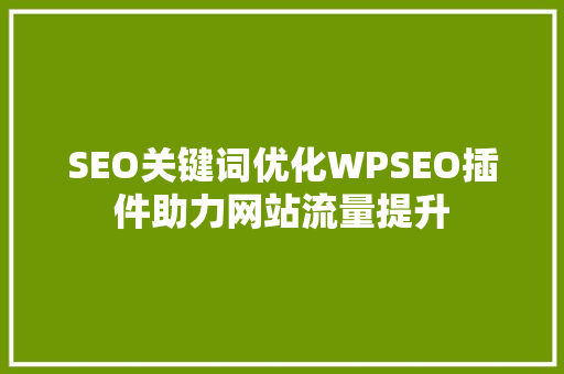 SEO关键词优化WPSEO插件助力网站流量提升
