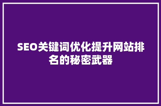 SEO关键词优化提升网站排名的秘密武器