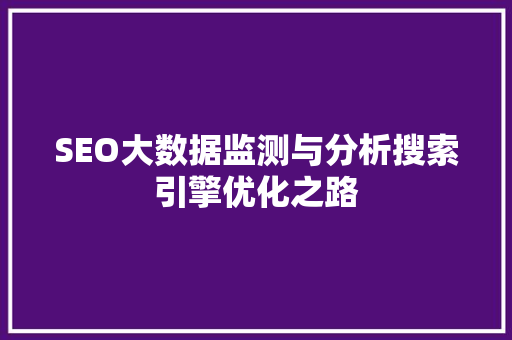 SEO大数据监测与分析搜索引擎优化之路