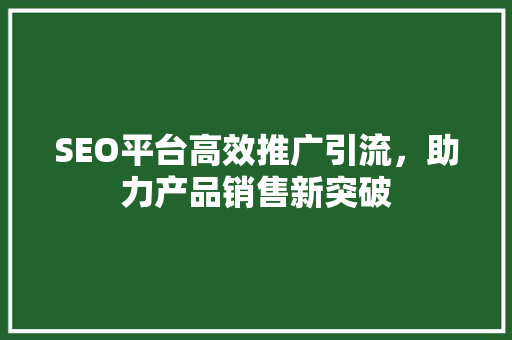 SEO平台高效推广引流，助力产品销售新突破 电脑基础