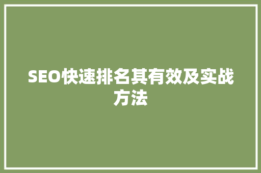 SEO快速排名其有效及实战方法