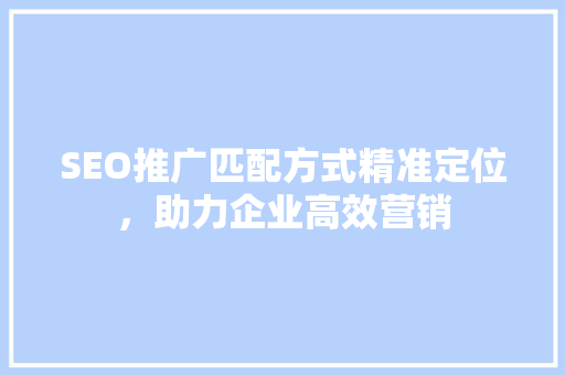 SEO推广匹配方式精准定位，助力企业高效营销