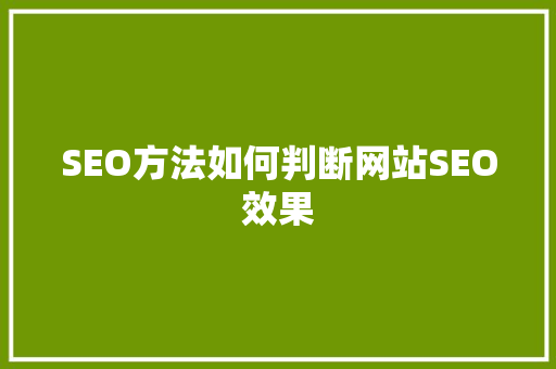 SEO方法如何判断网站SEO效果