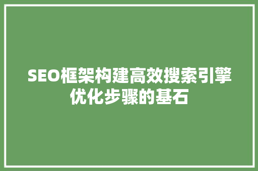 SEO框架构建高效搜索引擎优化步骤的基石 SEO框架构建高效搜索引擎优化步骤的基石