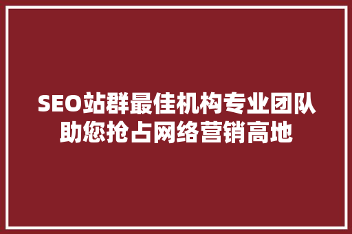 SEO站群最佳机构专业团队助您抢占网络营销高地