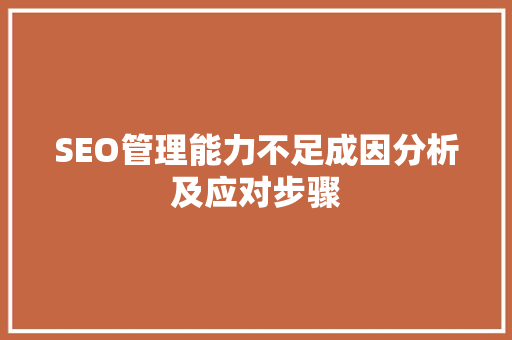 SEO管理能力不足成因分析及应对步骤