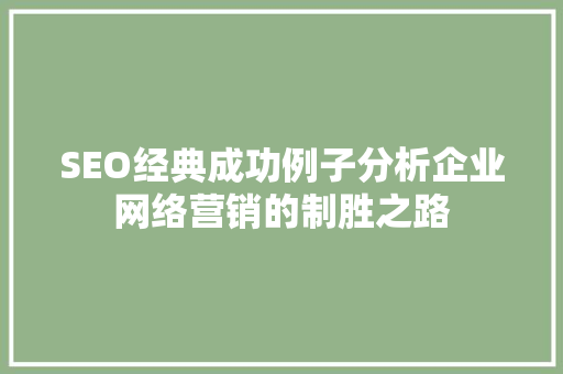 SEO经典成功例子分析企业网络营销的制胜之路