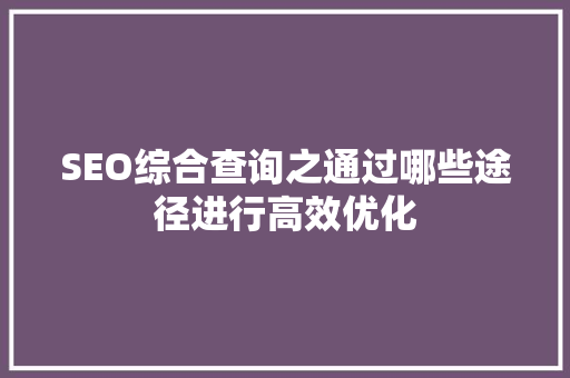 SEO综合查询之通过哪些途径进行高效优化