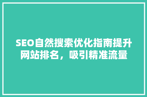 SEO自然搜索优化指南提升网站排名，吸引精准流量