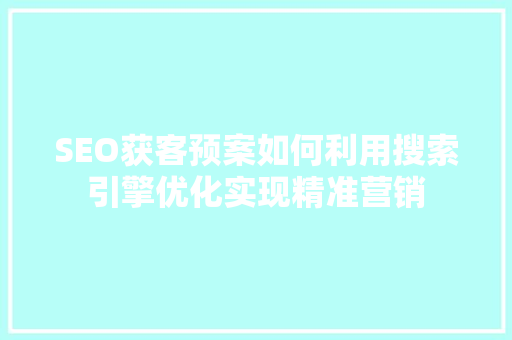 SEO获客预案如何利用搜索引擎优化实现精准营销