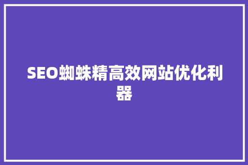 SEO蜘蛛精高效网站优化利器