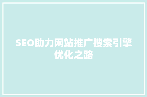 SEO助力网站推广搜索引擎优化之路