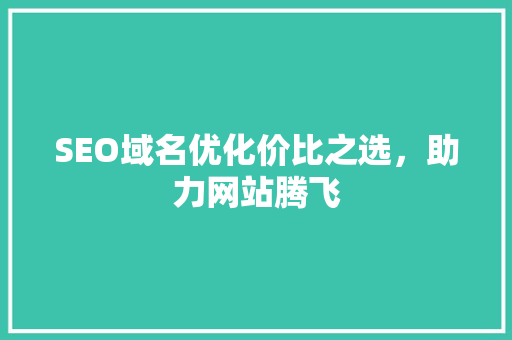 SEO域名优化价比之选，助力网站腾飞