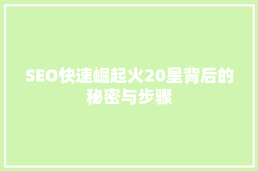 SEO快速崛起火20星背后的秘密与步骤