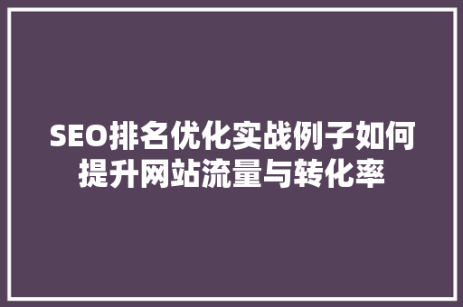 SEO排名优化实战例子如何提升网站流量与转化率