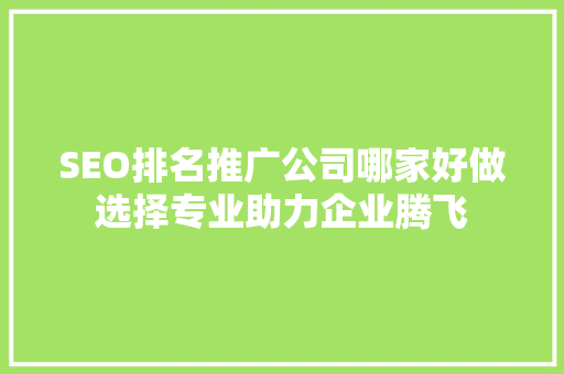 SEO排名推广公司哪家好做选择专业助力企业腾飞
