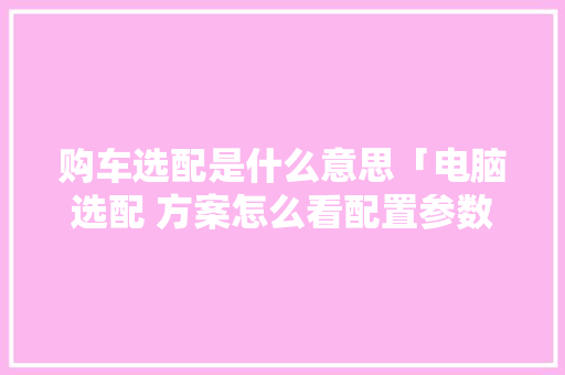 购车选配是什么意思「电脑选配 方案怎么看配置参数」