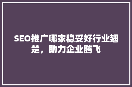 SEO推广哪家稳妥好行业翘楚，助力企业腾飞 电脑基础