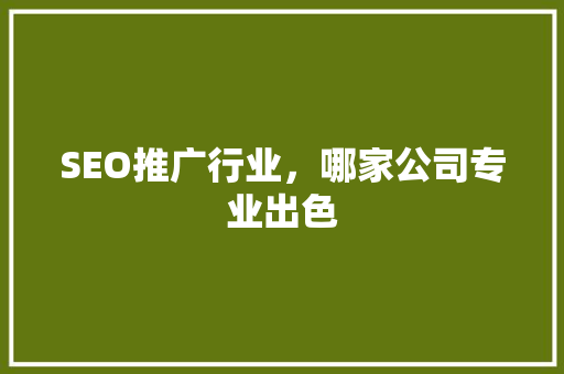 SEO推广行业，哪家公司专业出色