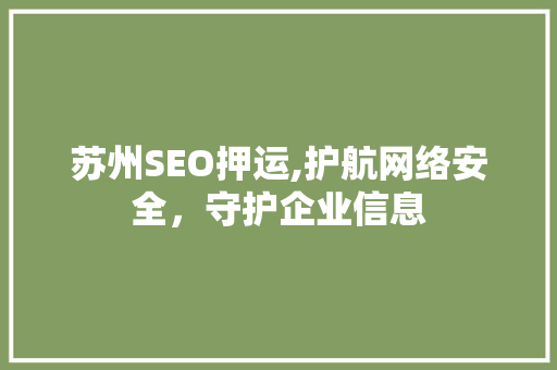 苏州SEO押运,护航网络安全，守护企业信息 苏州SEO押运,护航网络安全，守护企业信息 编程语言