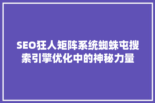 SEO狂人矩阵系统蜘蛛屯搜索引擎优化中的神秘力量