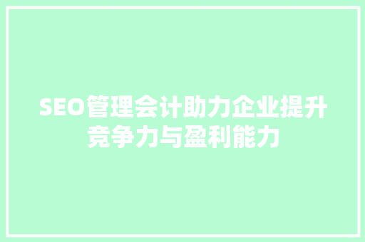 SEO管理会计助力企业提升竞争力与盈利能力