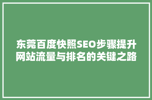 东莞百度快照SEO步骤提升网站流量与排名的关键之路