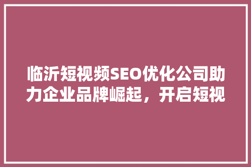 临沂短视频SEO优化公司助力企业品牌崛起，开启短视频营销新篇章