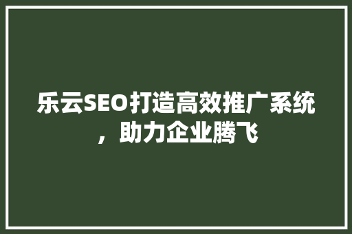 乐云SEO打造高效推广系统，助力企业腾飞