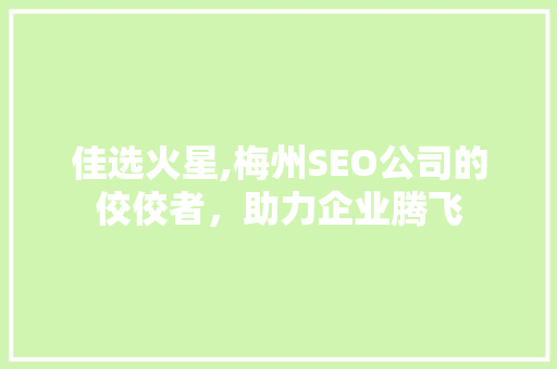 佳选火星,梅州SEO公司的佼佼者，助力企业腾飞