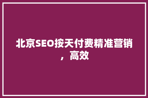 北京SEO按天付费精准营销，高效
